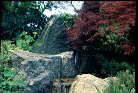 Water feature and landscaping (ddr-densho-377-1481)