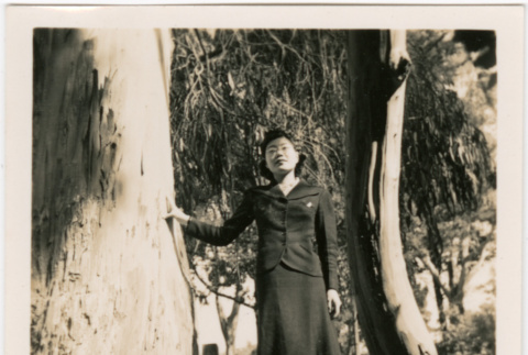 Tomoye (Nozawa) Takahashi standing in tree (ddr-densho-426-2110)