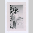 Man in front of cactus (ddr-densho-402-11)