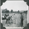 Men working in a field (ddr-ajah-2-181)