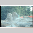 Man by rocks (ddr-densho-377-1800)