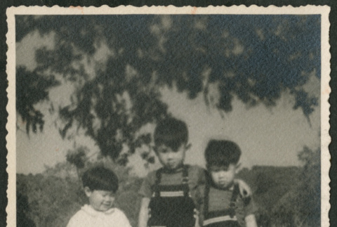 Bobby - Ronald - Gerald (ddr-densho-378-1061)