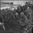 Japanese Americans unloading coal (ddr-densho-37-385)