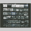 Scene stills from the Farewell to Manzanar film (ddr-densho-317-22)
