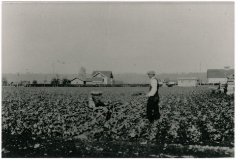 Man on a farm (ddr-densho-353-59)