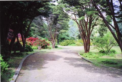 Kubota Garden (ddr-densho-354-1613)