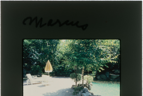 Pool and lounge chairs at the Marcus project (ddr-densho-377-468)