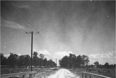 Road to Rohwer concentration camp (ddr-densho-167-3)