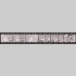 Negative film strip for Farewell to Manzanar scene stills (ddr-densho-317-89)