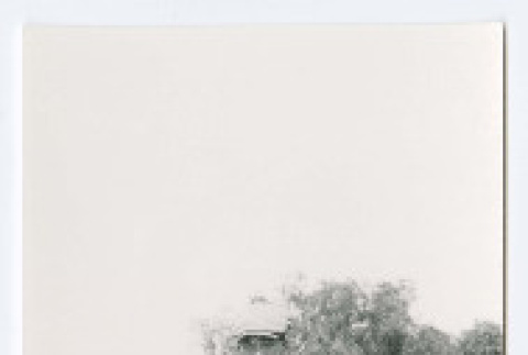 Photograph (ddr-densho-480-114-mezzanine-a9fb0225d2)