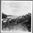 Hawaiian View (ddr-densho-363-165)