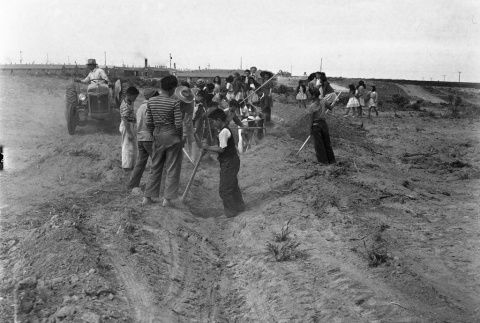 Children and young adults helping with agricultural work (ddr-fom-1-793)