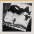 Leslie Shiomi in crib (ddr-densho-522-349)