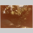 Creek (ddr-densho-377-2041)