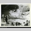 Okinawans at a stream (ddr-densho-179-30)
