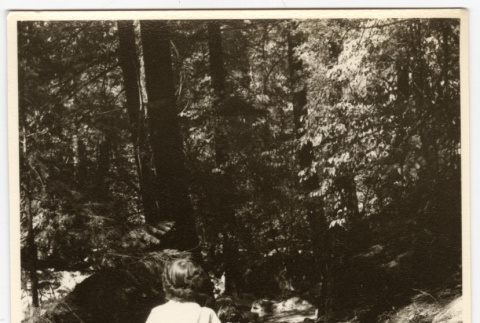 Woman walking on a trail (ddr-densho-542-839)