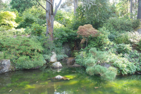 Japanese Garden waterfall, pond (ddr-densho-354-2865)