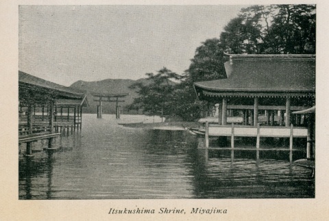 View of Itsukushima Shrine (ddr-njpa-8-25)