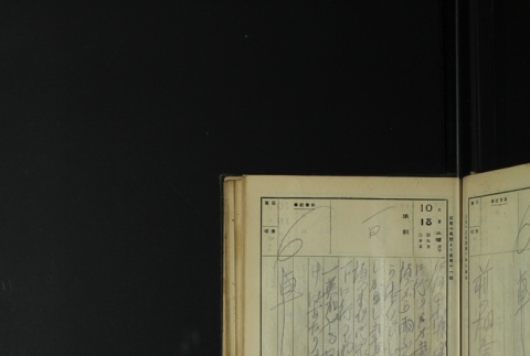 Page 313 (ddr-densho-255-1-master-de31b944de)