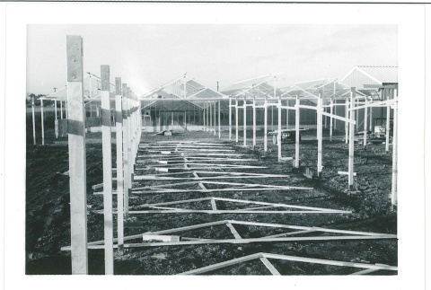 Greenhouse construction (ddr-densho-441-71)