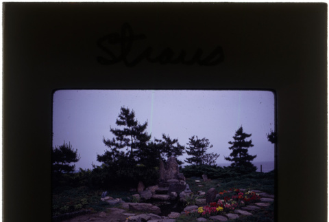Rock garden and pond at the Straus project (ddr-densho-377-598)