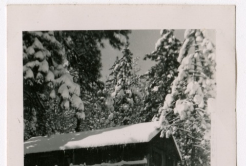 Snowy cabin (ddr-densho-325-335)