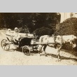 Engelbert Dollfuss's children in a horse drawn carriage (ddr-njpa-1-211)