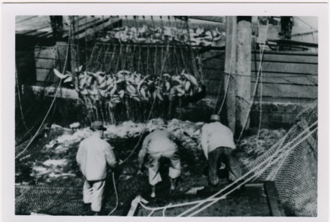 Workers on a salmon barge (ddr-densho-353-58)