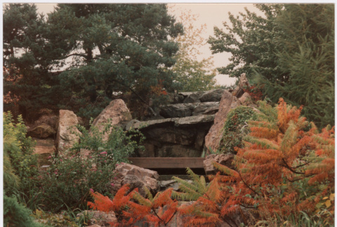 Rock feature (ddr-densho-377-2069)