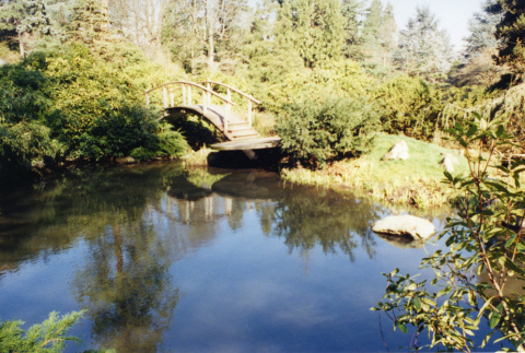 Moon Bridge and pond, before new bridge (ddr-densho-354-785)