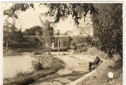 View of a path in a park (ddr-densho-542-818)