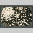 Fish trap (ddr-densho-540-129)