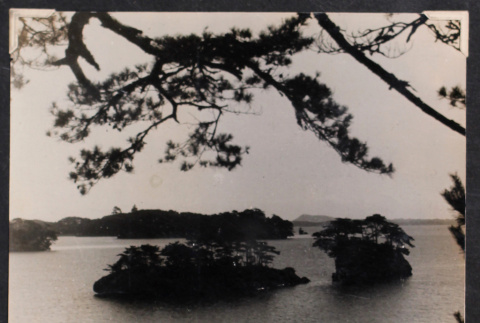 Matsushima (ddr-densho-468-402)