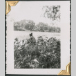Man sitting on bank of river (ddr-densho-434-269)