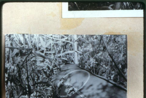 Downed plane (ddr-densho-1007-670)