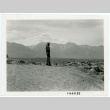 Photograph of a sentry guard at Manzanar incarceration camp (ddr-csujad-47-54)