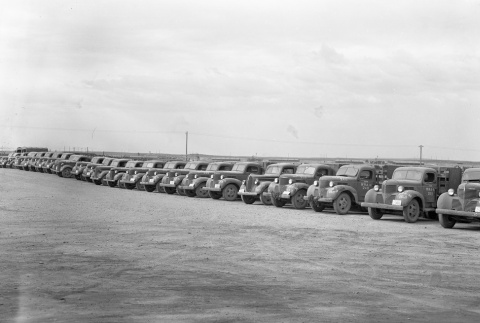 Line of WRA trucks (ddr-fom-1-694)