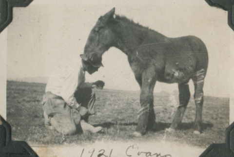 Photograph: George Ishizuka with a mule (ddr-densho-357-79-mezzanine-e225e31d8f)