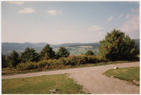 Driveway (ddr-densho-377-1898)