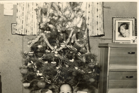 Young child in front of Christmas tree (ddr-csujad-37-15)
