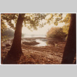 Muddy path (ddr-densho-377-2076)