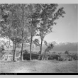 Manzanar landscape (ddr-densho-153-280)