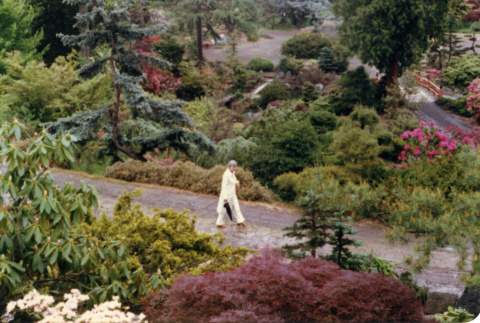 Virginia Stave walking in the Garden (ddr-densho-354-516)