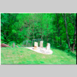 Rock feature on lawn (ddr-densho-377-2617)
