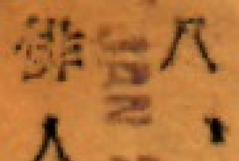 Back (ddr-njpa-4-753-master-1490192b83)