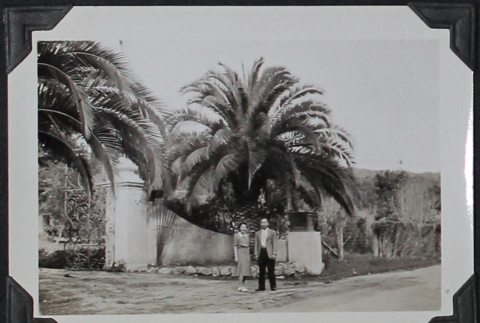 Nisei couple stand in front of palm trees (ddr-densho-359-1310)