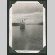 Ship sailing (ddr-densho-540-58)