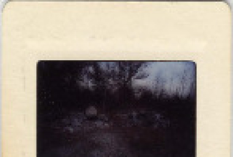 Front and back (ddr-densho-377-868-mezzanine-16f898c0b4)
