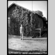 Young man in front of ivy-covered building (ddr-densho-475-115)