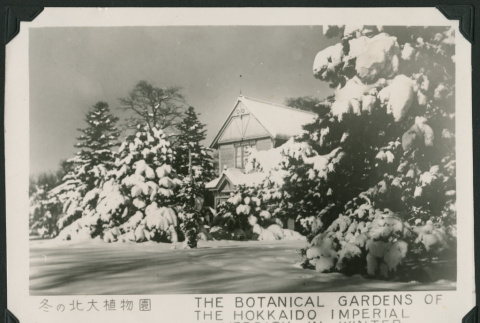 Botanical Gardens of Hokkaido Imperial University (ddr-densho-397-195)